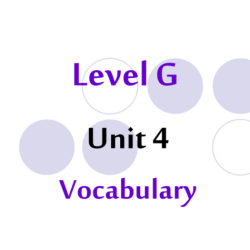 Vocabulary workshop level g unit 3