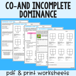 Incomplete dominance and codominance worksheet