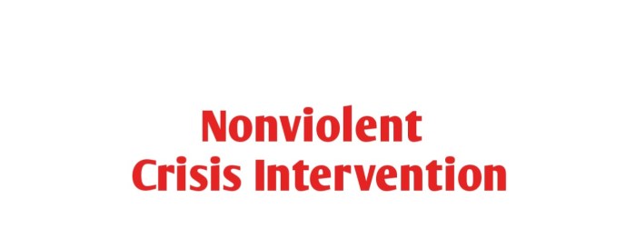 Refresher nonviolent prevention intervention hcoe