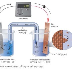 Chemistry cell galvanic electrochemical salt bridge cells standard do metal diagram half electrochemistry figure through voltaic silver purpose flow potential