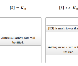 The michaelis-menten equation models the hyperbolic relationship